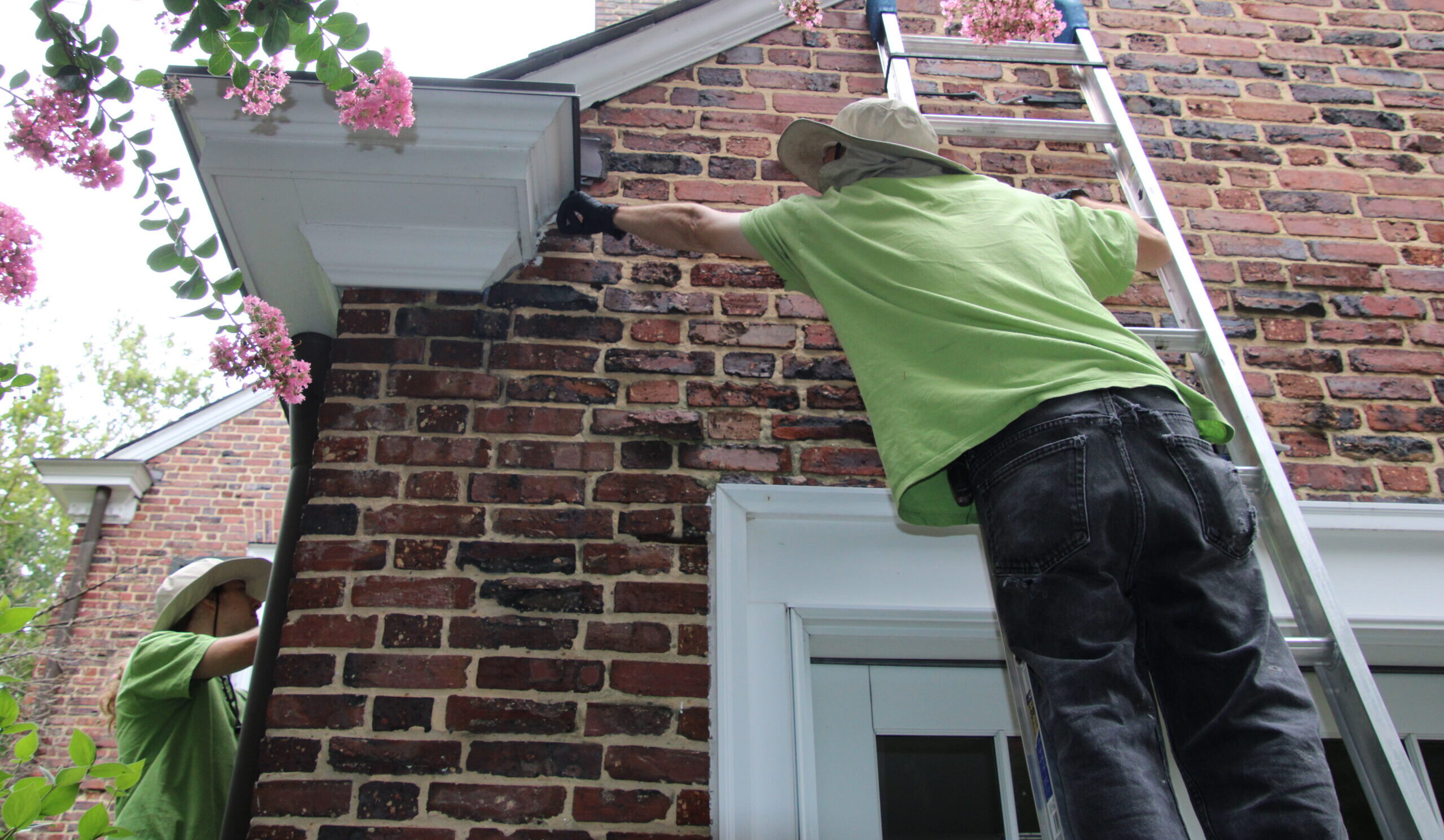 Two Skedaddle wildlife control technicians in green shirts and sun hats inspecting a brick home’s roofline and soffit from a ladder to identify animal entry points.