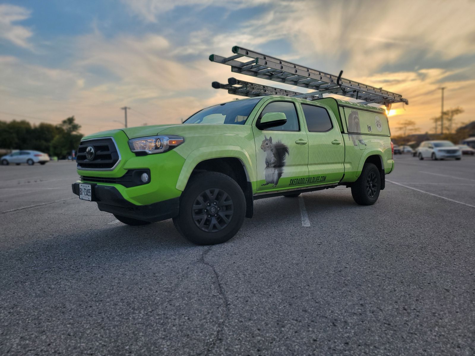 Skedaddle Humane Wildlife Control Service Truck at Sunset
