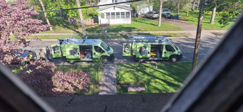 Two lime green Skedaddle service vans parked on a residential street with technicians preparing equipment for a wildlife removal job.