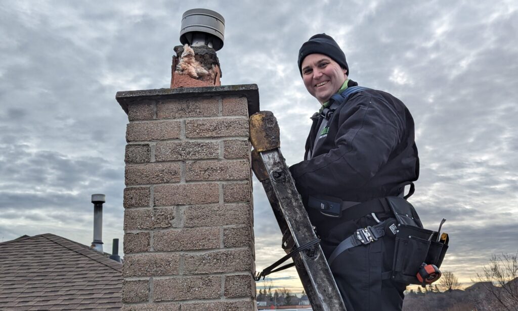 Skedaddle Technician Inspecting Damaged Chimney A smiling Skedaddle wildlife technician on a ladder inspecting a damaged brick chimney with exposed insulation near the flue.