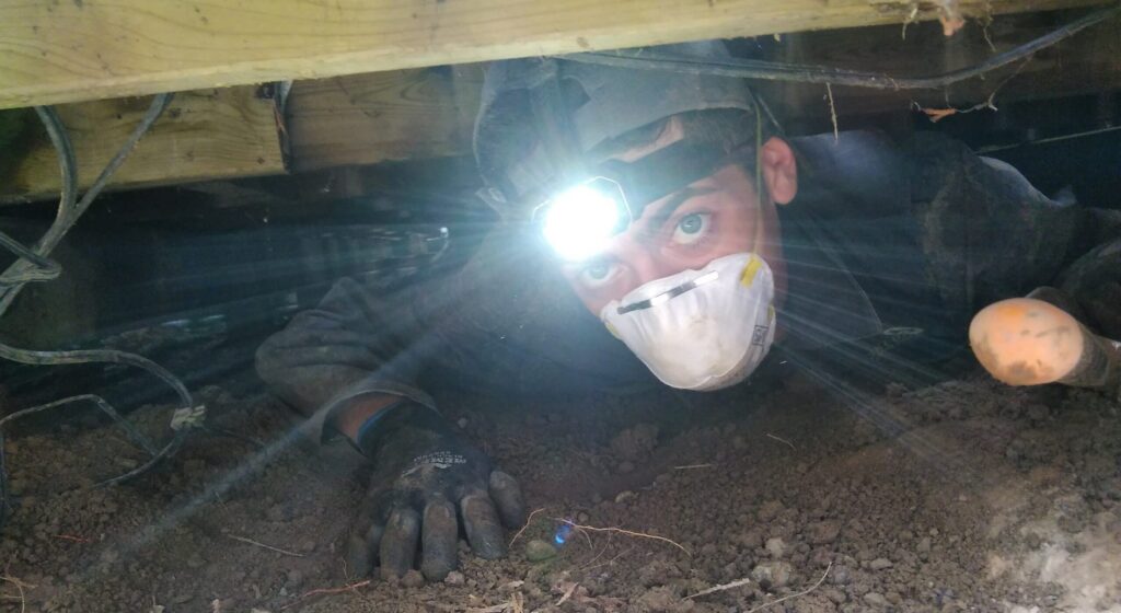 Skedaddle Technician Performing Crawlspace Wildlife Inspection A professional wildlife technician wearing a headlamp, protective respirator mask, and gloves while crawling through a dirt crawlspace under a house.