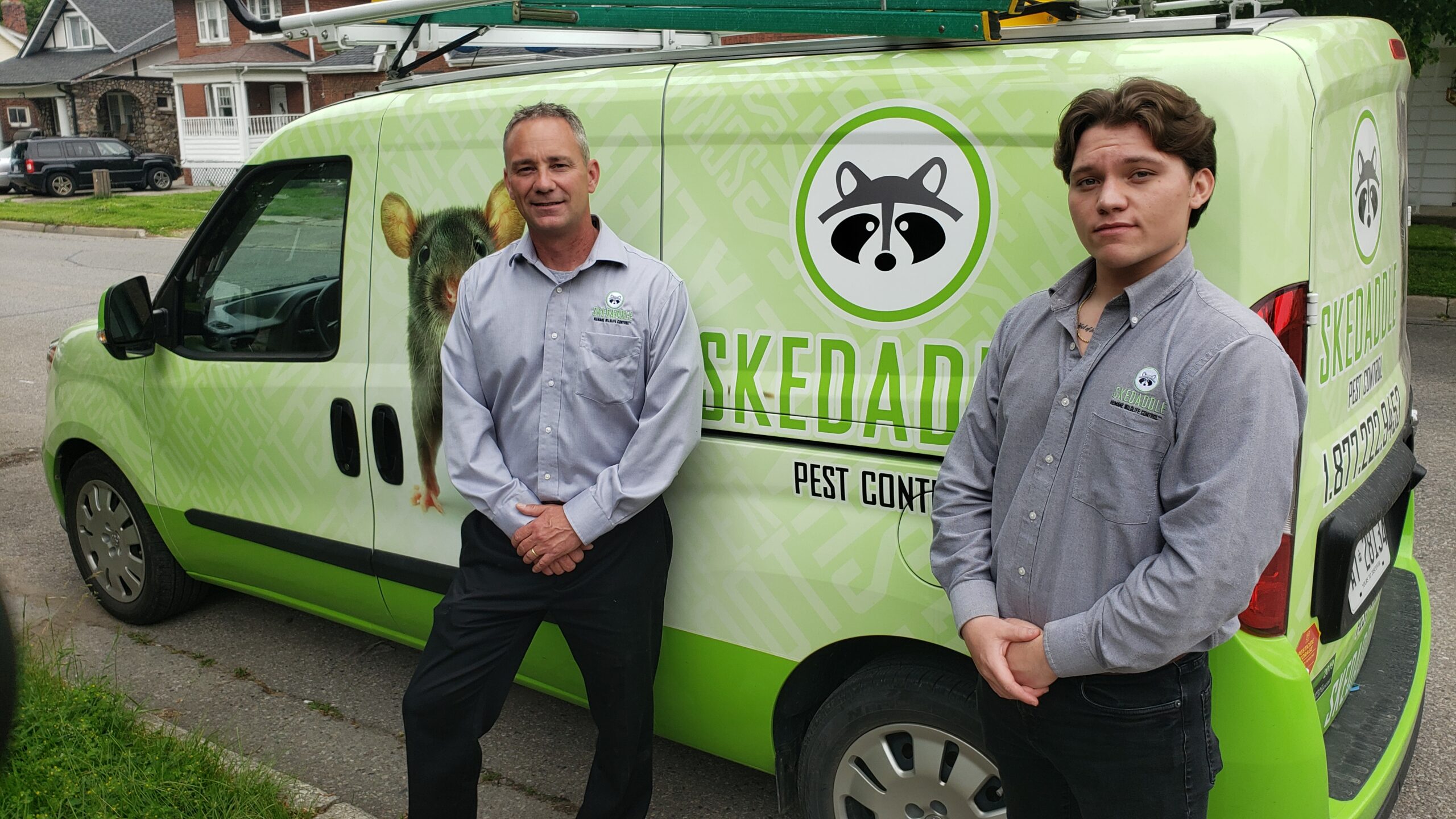 Exterior wasp removal service