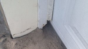 A top down view of a residential garage door corner showing gnaw marks on the weather stripping and wood trim, creating an opening for mice and rats.