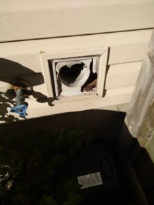 A tan plastic dryer vent on a home's exterior with a large portion of the louvers and housing ripped away, revealing an open pipe and nesting material inside.