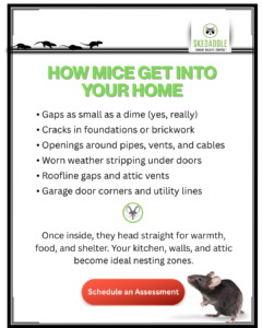 How mice enter home infographic Infographic showing common mouse entry points including roofline gaps, worn weather stripping, and foundation cracks.