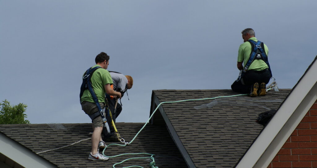 Humane Wildlife Removal Roof Inspection and Repair Three Skedaddle wildlife technicians wearing safety harnesses and ropes working on a shingled roof to secure entry points against pests in Richmond Hill.
