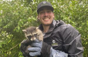 A Skedaddle wildlife technician in a black branded hat and jacket smiling while holding a small baby raccoon with thick protective gloves.