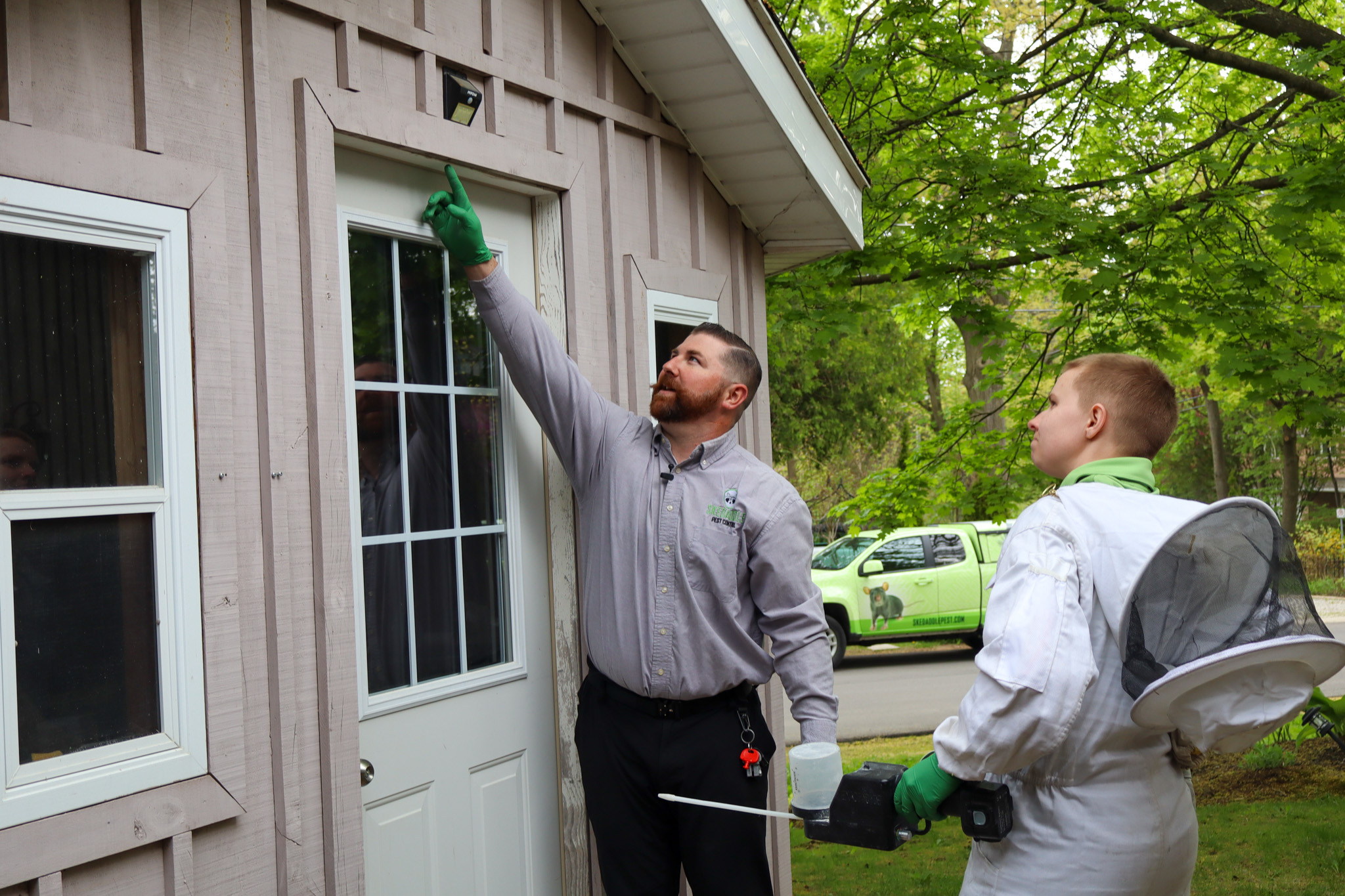Wasp Nest Removal Service