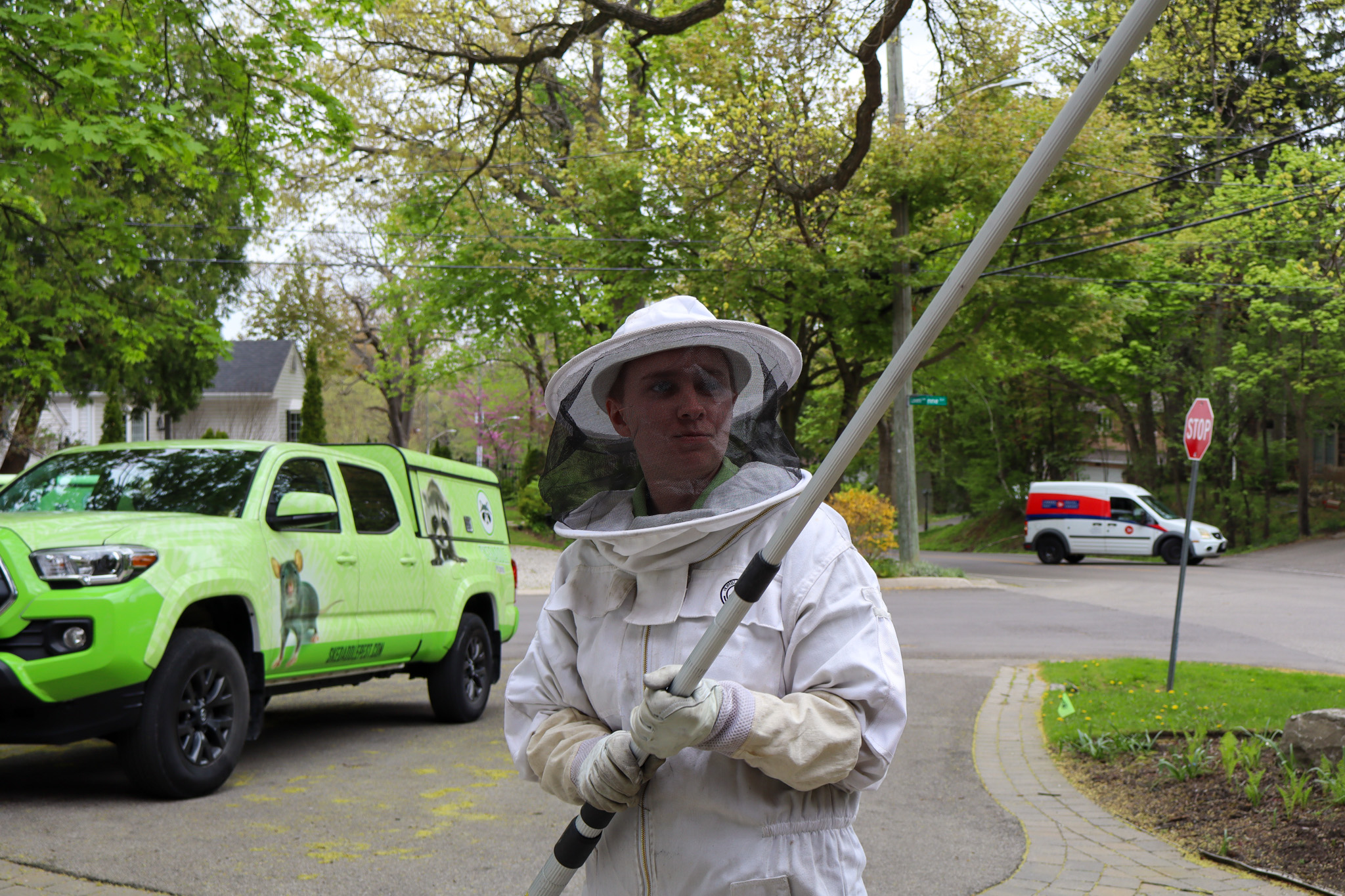 Professional Wasp Control Technician