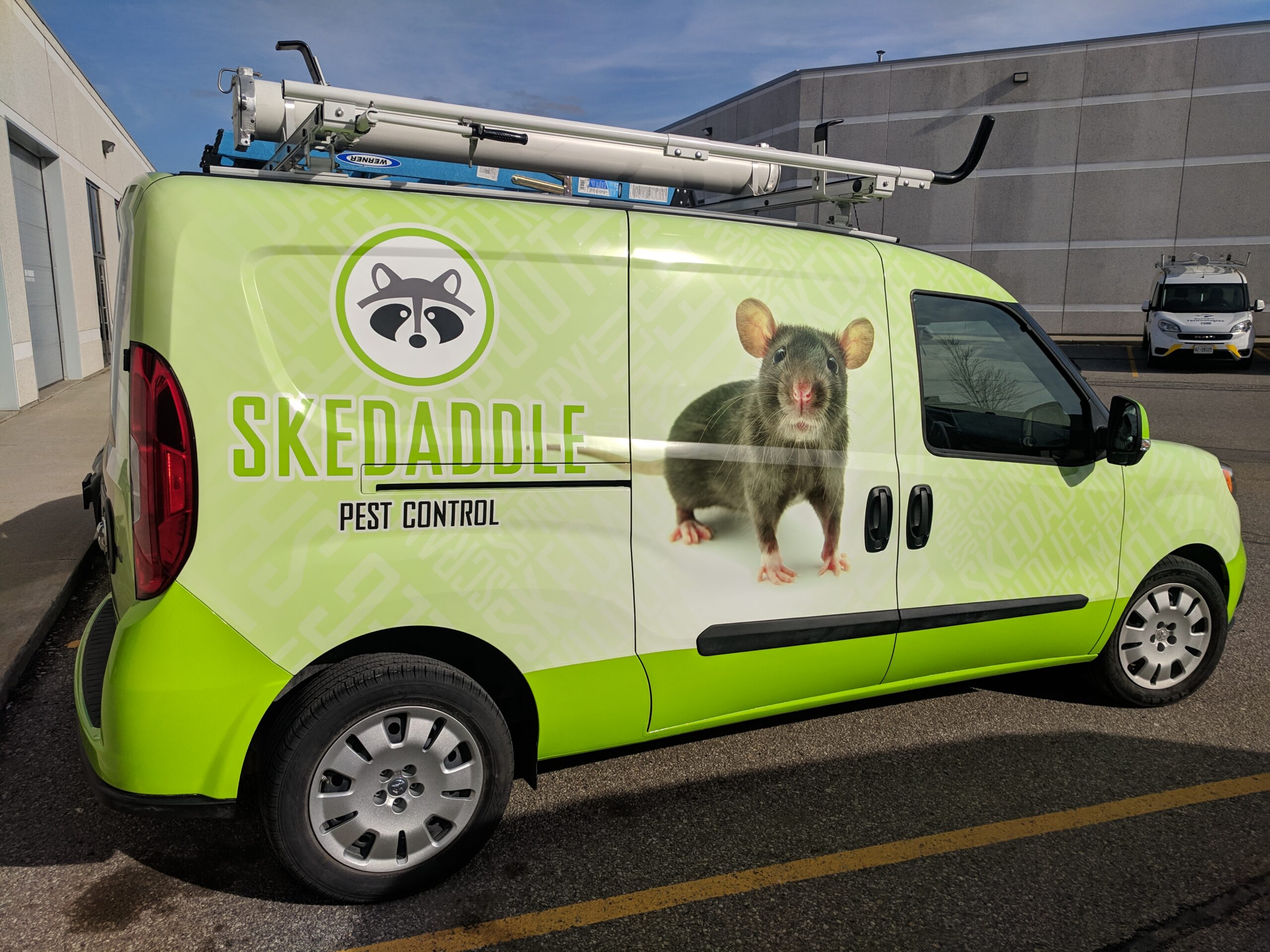 Ant pest control technician
