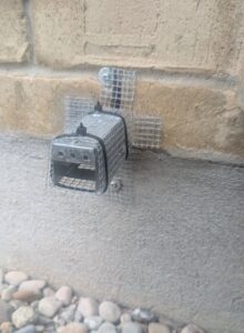 A specialized metal one-way door device secured with wire mesh over an entry hole on an exterior stone and concrete wall.