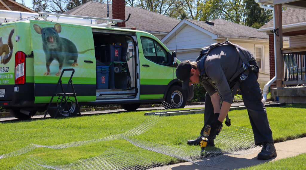 A Skedaddle technician in a grey uniform and safety harness uses a drill to prepare galvanized steel mesh on a sidewalk in front of a lime green branded service van.
