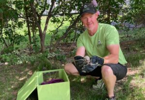 A Skedaddle wildlife technician wearing gloves squats on a lawn while holding a rescued baby animal next to a green heated baby reunital box.