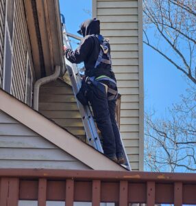 A professional wildlife technician in full safety gear and harness standing on a ladder to inspect the roofline and chimney area of a two-story home.