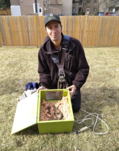 A Skedaddle Wildlife technician kneeling on a lawn holding a bright green heated reunion box containing baby raccoons nestled in insulation for safe mother-offspring reunification.