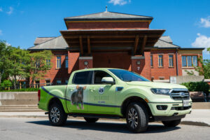 A bright green Skedaddle Humane Wildlife Control branded Ford Ranger pickup truck parked on the street in front of a historic red brick building.