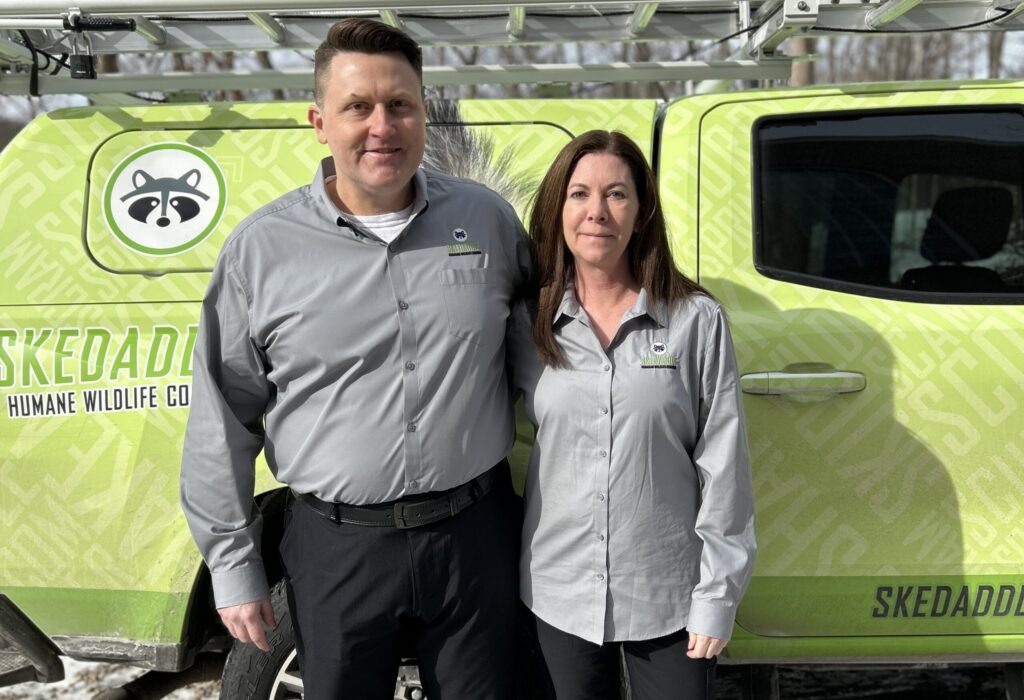 A man and a woman in grey Skedaddle Humane Wildlife Control uniforms standing together in front of a lime green branded company truck with a ladder on top.