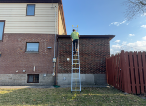 A wide shot of a wildlife control technician in a green shirt climbing a tall extension ladder positioned against a two-story brick and siding home to inspect the gutters and roofline.