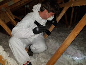 A wildlife prevention technician using a tool to dig and install heavy-duty galvanized wire mesh screen along a home's foundation walls below a bay window.