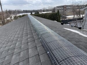 Heavy-duty wire mesh screening installed over a residential roof ridge vent by Skedaddle Humane Wildlife Control to prevent squirrel and rodent entry.