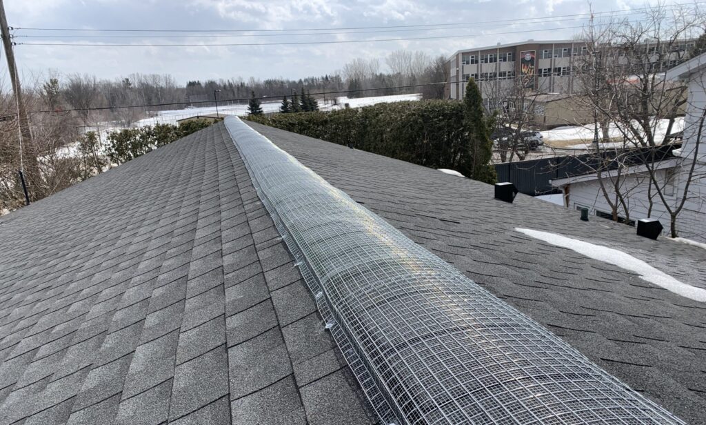 Roof Ridge Vent Screening for Wildlife Exclusion Heavy-duty wire mesh screening installed over a residential roof ridge vent by Skedaddle Humane Wildlife Control to prevent squirrel and rodent entry.