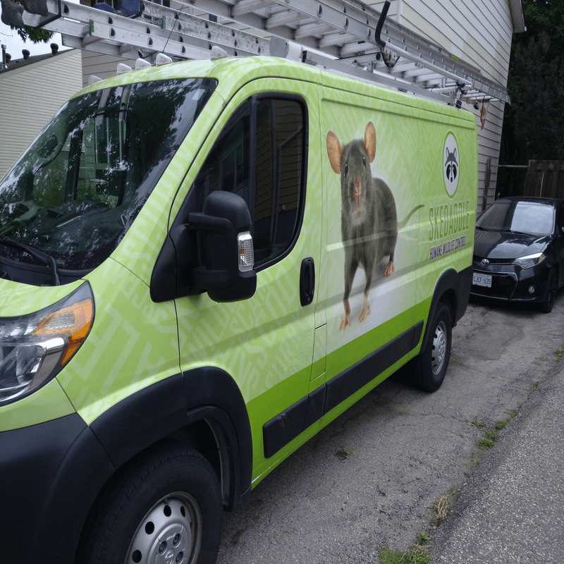 Skedaddle Saint Paul Truck