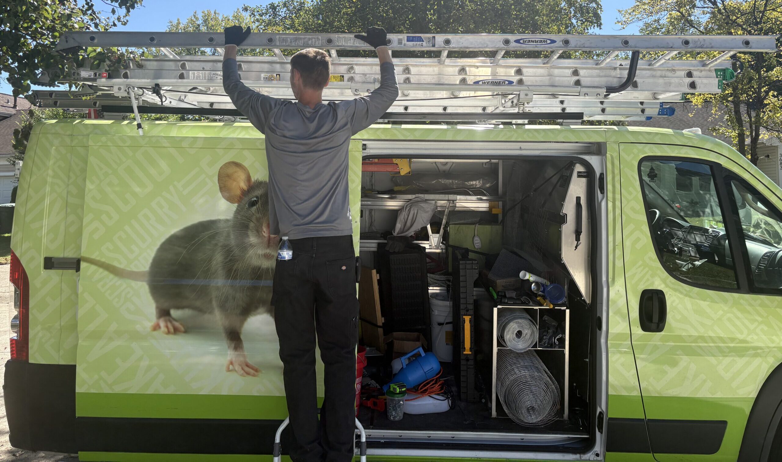 A wildlife technician stands on a small step stool to reach aluminum extension ladders mounted on the roof rack of a lime green Skedaddle service van.