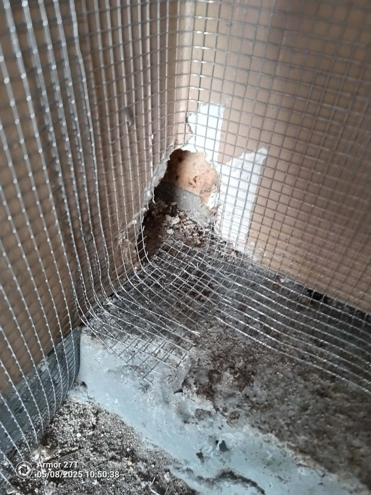Rat entry point