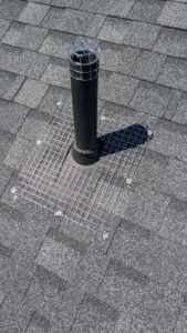A roof plumbing vent pipe protected with galvanized wire mesh screening anchored to grey asphalt shingles