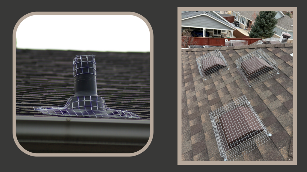 Roof Vent Wildlife Exclusion Screening Split image showing heavy-duty wire mesh exclusion screens installed over roof plumbing vents and box vents