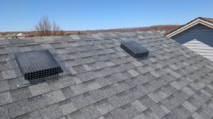 Heavy-duty wire mesh screening secured over two black plastic roof vents on grey asphalt shingles