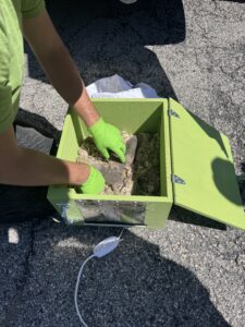 A wildlife technician wearing green gloves placing baby raccoons inside a heated green reunification box outdoors