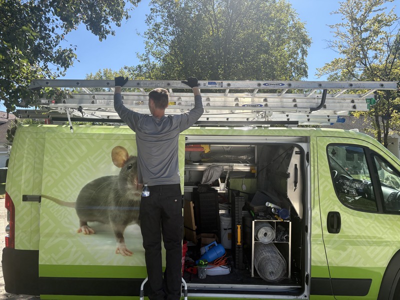 Skedaddle in Mississauga Technician Preparing Equipment at Wildlife Control Van A technician reaching for a ladder on top of a lime green wildlife control service van