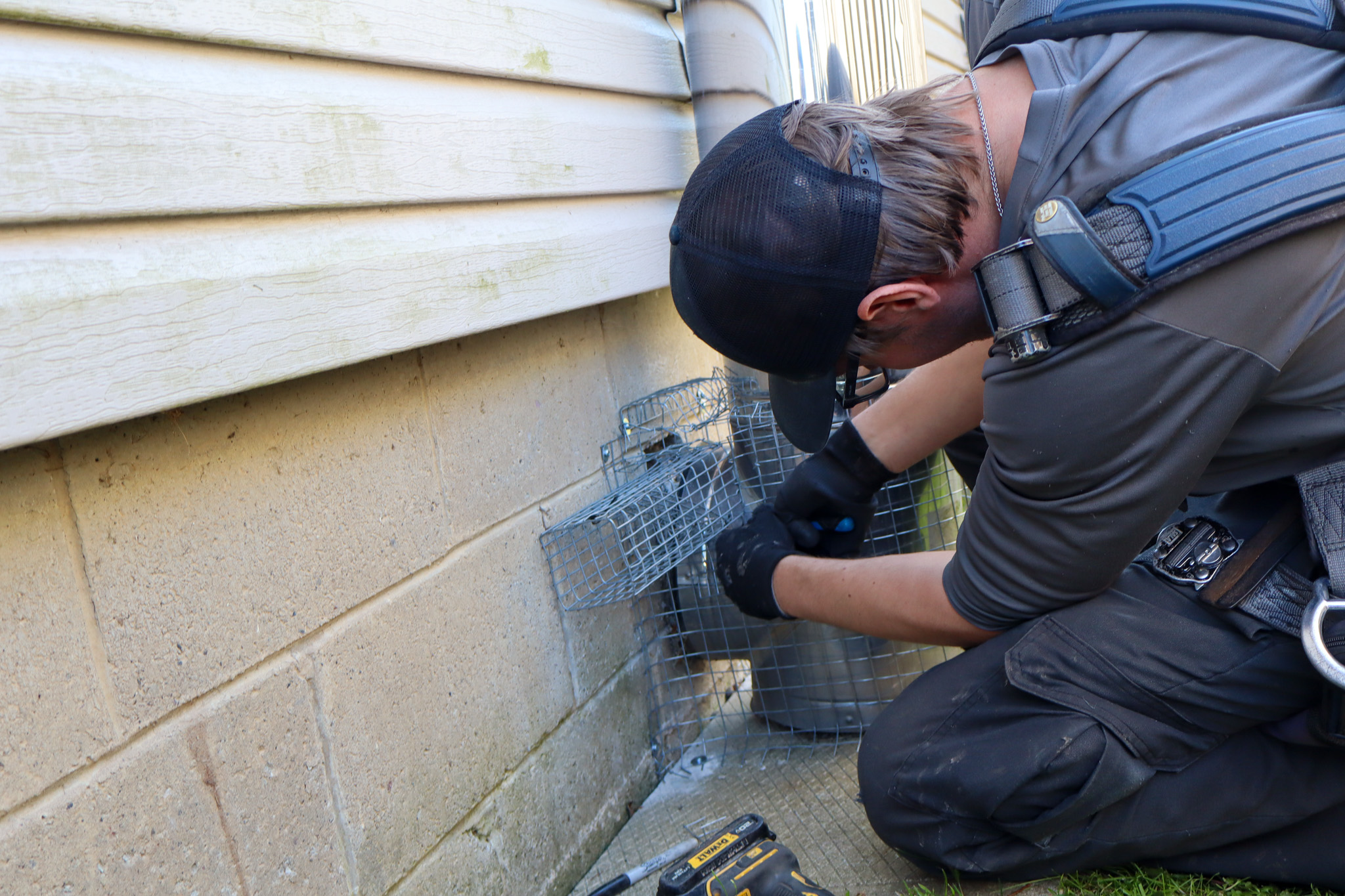 Skedaddle Milwaukee technician installing a one-way exclusion door at a Hartland home — the humane exit method used during inspection-led wildlife removal.