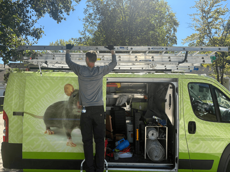 Technician ready for wildlife removal