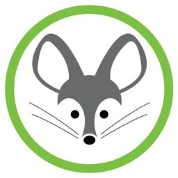 mouse-icon
