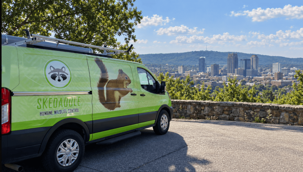 Skedaddle vehicle with the Birmingham skyline