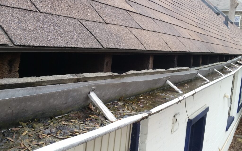 Exposed Roofline Fascia Gap and Clogged Gutter Creating Wildlife Entry Point A severe open gap along attic rafters beneath shingle roofing directly above a debris-filled metal gutter