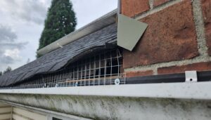Galvanized steel wire mesh installed beneath roof shingles and behind a gutter to block wildlife entry points