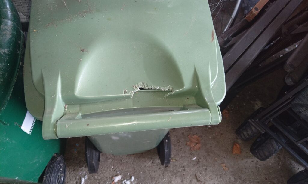 Rodent Chew Damage on Green Organic Waste Bin Lid A green plastic municipal compost bin showing a hole gnawed through the lid handle by rats