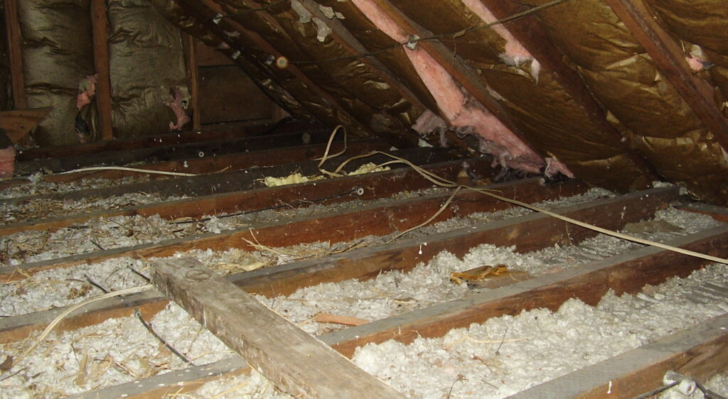 Severe Attic Insulation Damage and Exposed Wiring from Wildlife Infestation Severe attic damage showing torn roof batt insulation, exposed electrical wiring, and debris scattered across cellulose floor insulation