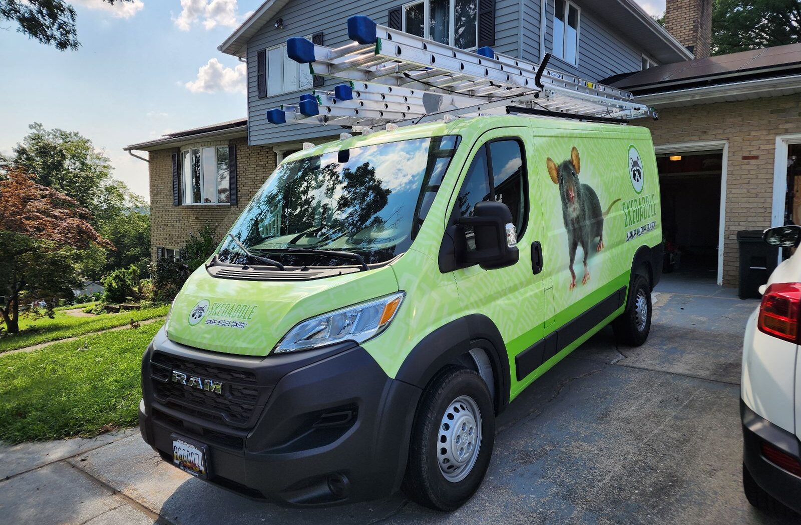A bright green Skedaddle Humane Wildlife Control Ram van with ladders on the roof rack parked in front of a house