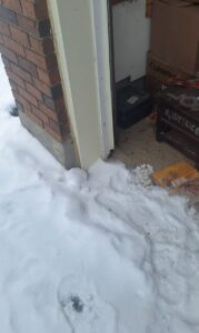 A snow-covered garage entrance showing chewed weatherstripping and rodent entry damage at the door corner