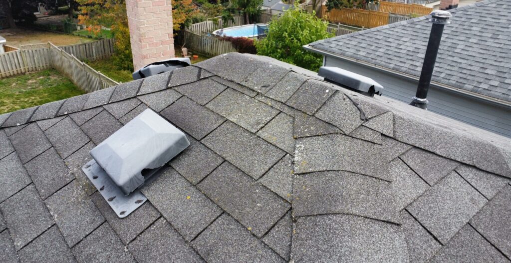 Animal Damaged Plastic Roof Vents on Asphalt Shingle Roof Peak Elevated roof view showing multiple plastic attic vents chewed and cracked open by wildlife along the roof ridge