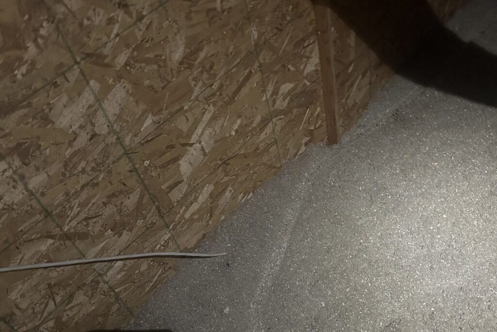 Interior attic floor covered in grey blown-in insulation along an OSB plywood knee wall showing rodent activity