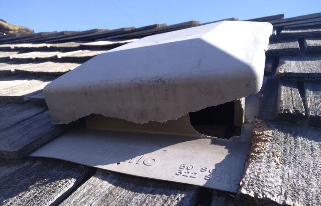 A plastic attic roof exhaust vent with heavy rodent chew damage along the hood edge on a cedar shake roof