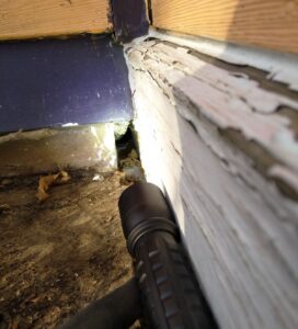 A flashlight illuminating a narrow gap between weathered exterior trim, foundation brick, and siding where rodents can enter