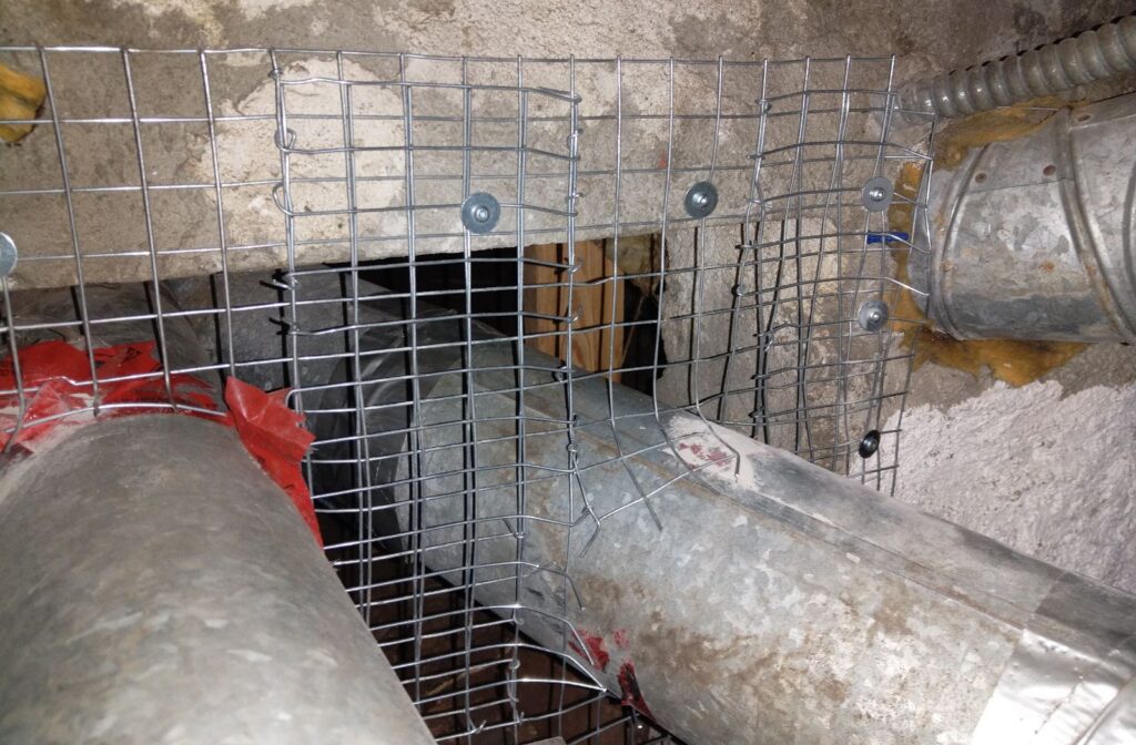 Galvanized Wire Exclusion Mesh Bolted Around Ductwork Penetrations Heavy-duty wire exclusion mesh fastened with washers around metal duct pipes entering a concrete foundation wall