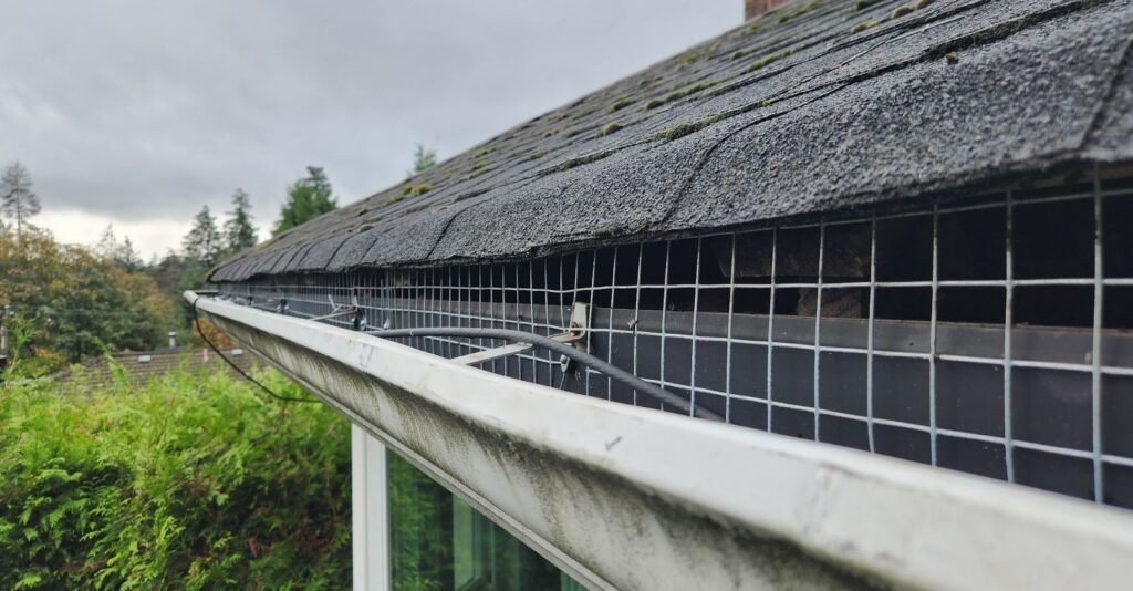 Heavy-duty wire mesh exclusion screen securely fitted along the roofline gap behind a white gutter under asphalt shingles