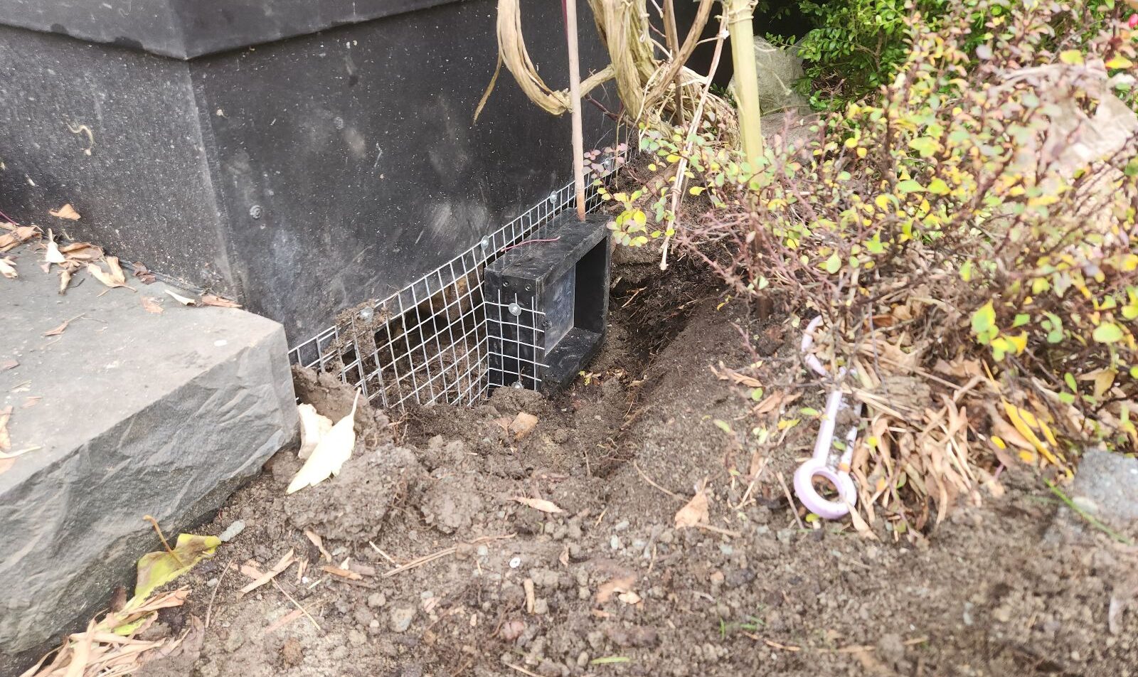 A black one-way wildlife exit door mounted into galvanized wire mesh screening installed in a trench along a porch foundation